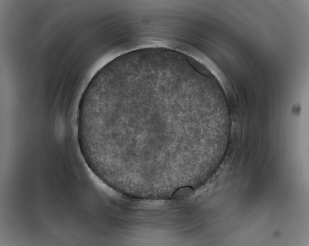 X0000100331143200807031229