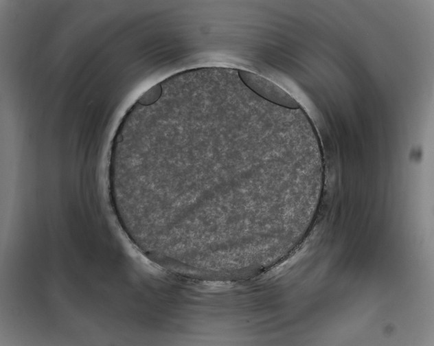 X0000100331144200807031229