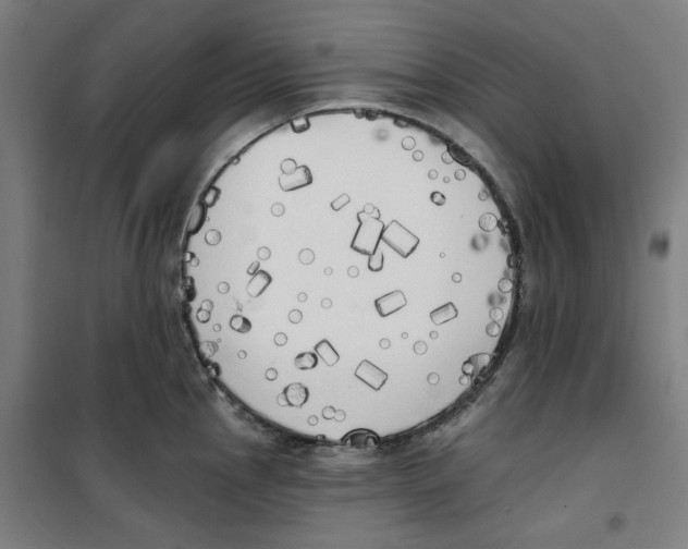 X0000100331145200807031229