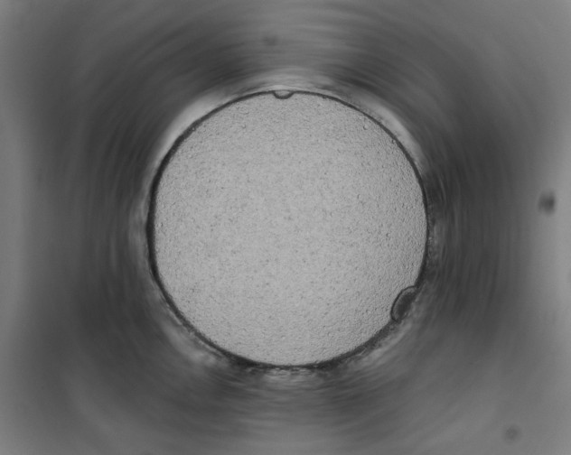 X0000100331146200807031229