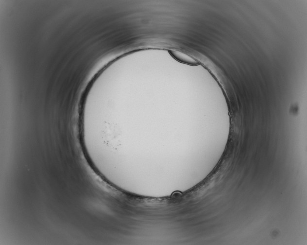 X0000100331147200807031229