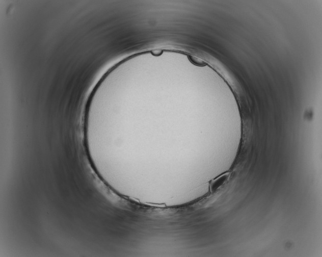 X0000100331148200807031229