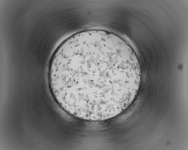X0000100331149200807031229