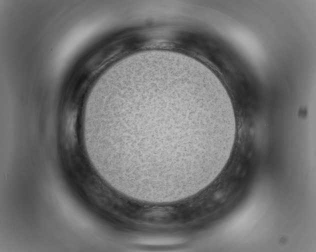 X0000100331150200807031229