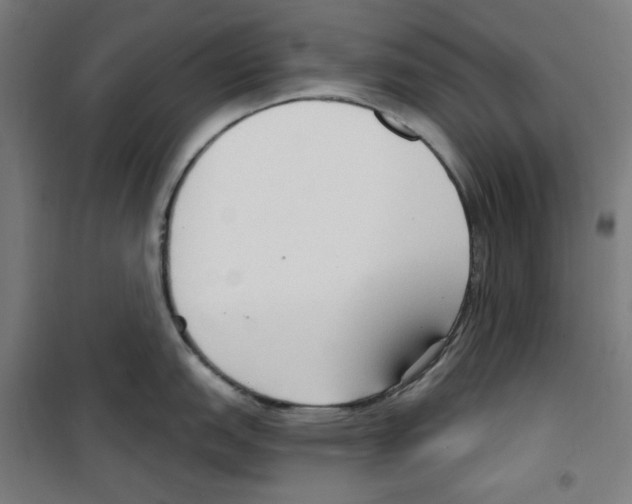 X0000100331151200807031229