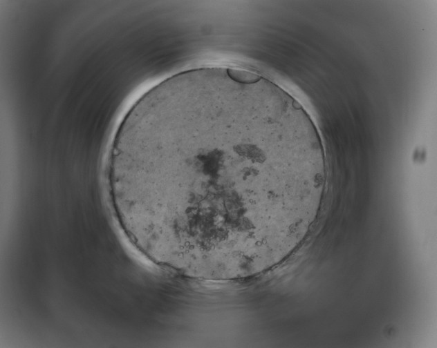 X0000100331152200807031229