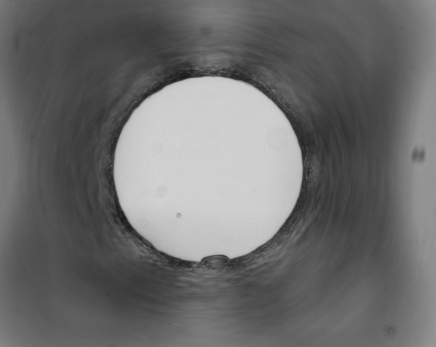 X0000100331153200807031228