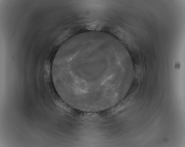 X0000100331154200807031228