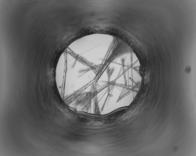 X0000100331156200807031228
