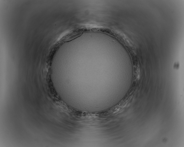 X0000100331157200807031228