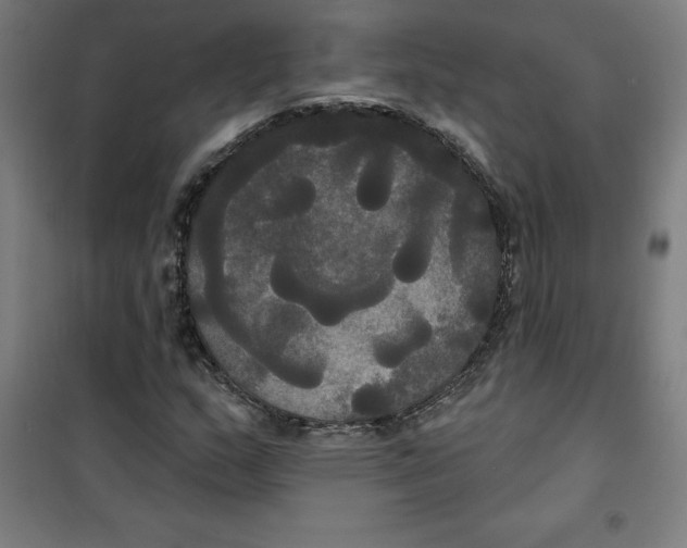 X0000100331159200807031228