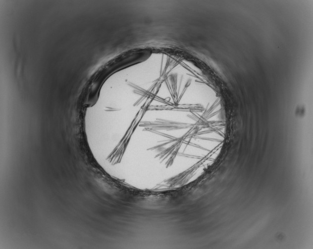 X0000100331160200807031228