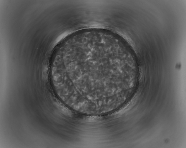 X0000100331163200807031228