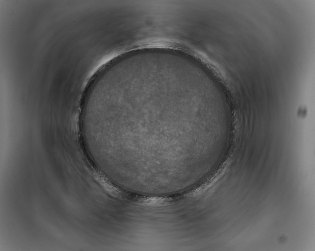 X0000100331166200807031228