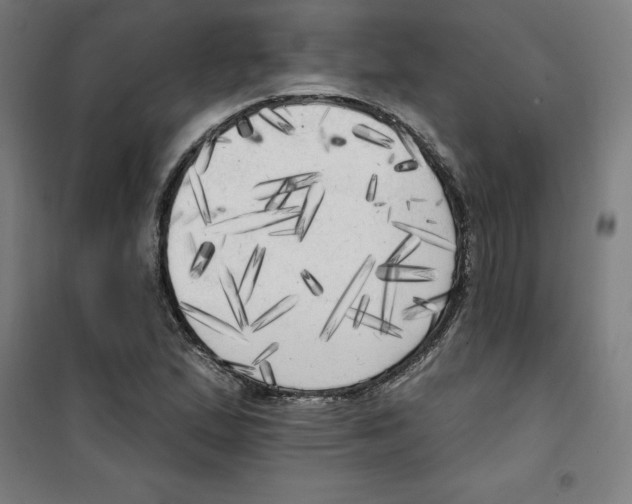 X0000100331167200807031228