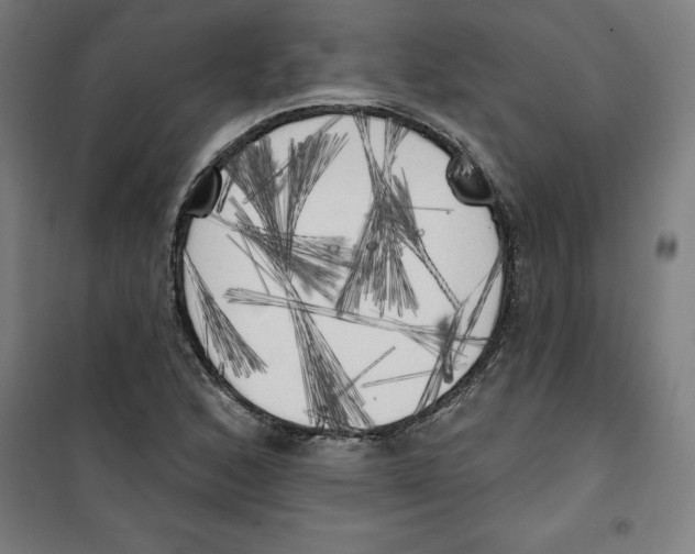 X0000100331168200807031228