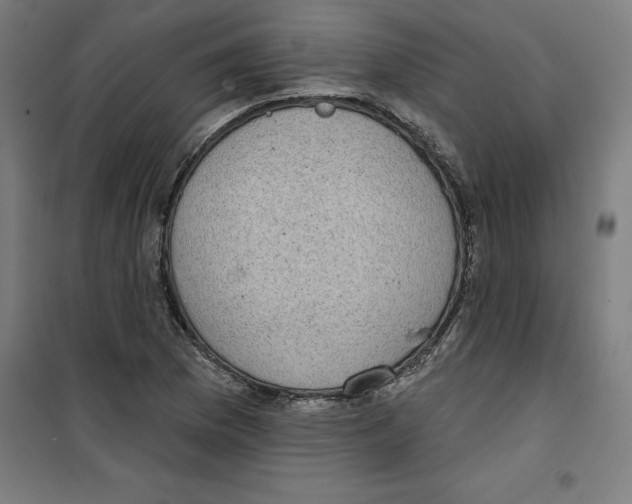 X0000100331169200807031228