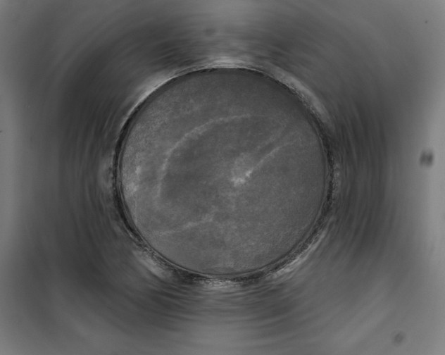 X0000100331170200807031228