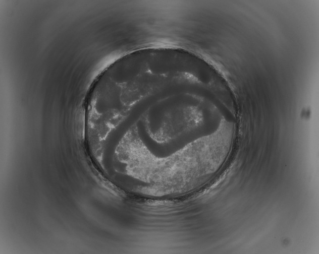 X0000100331171200807031228