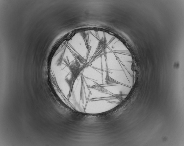 X0000100331172200807031228