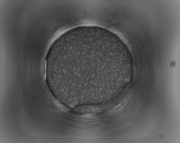 X0000100331175200807031228