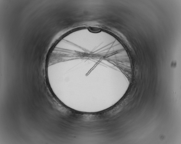 X0000100331176200807031228