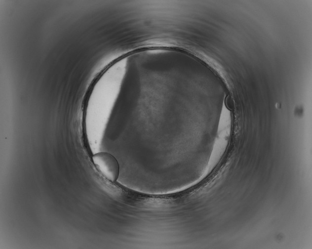 X0000100331179200807031227