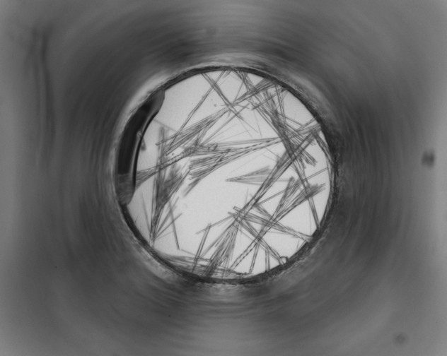 X0000100331180200807031227