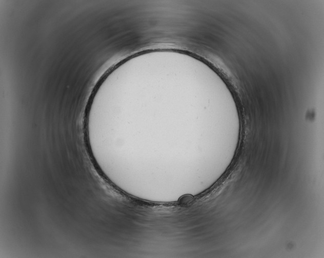 X0000100331181200807031227