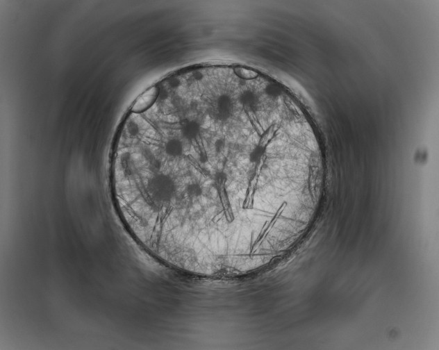 X0000100331183200807031227