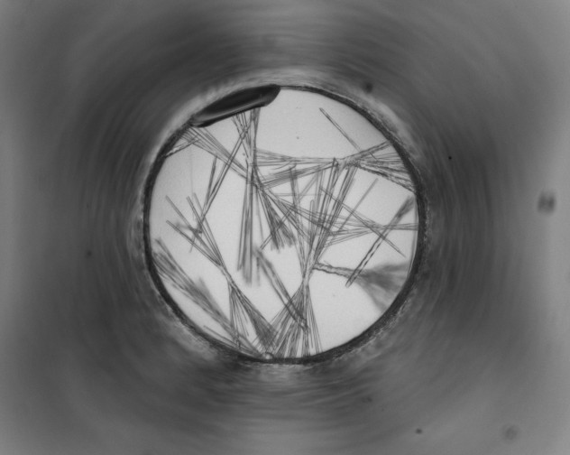 X0000100331184200807031227