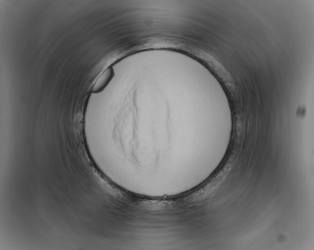 X0000100331185200807031227