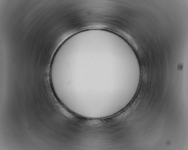 X0000100331186200807031227