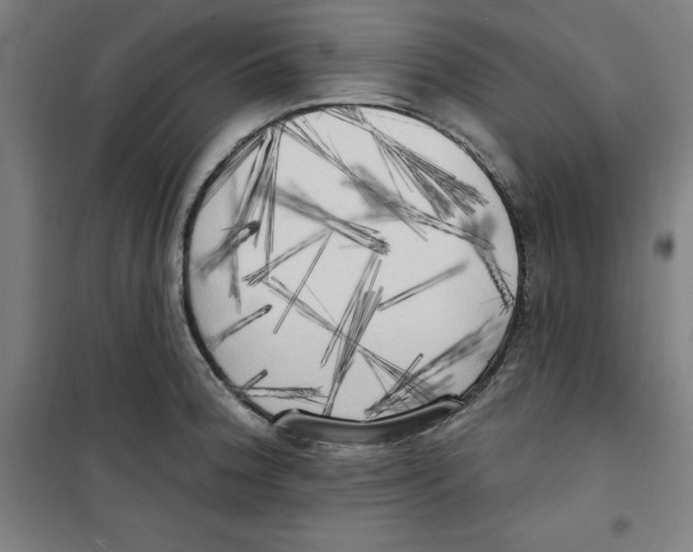 X0000100331188200807031227