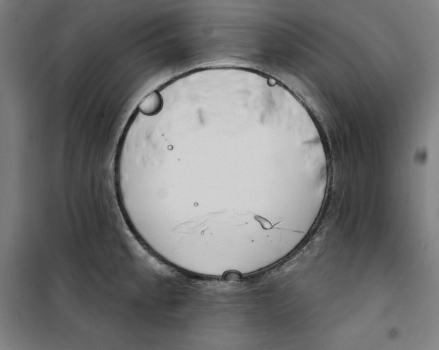 X0000100331189200807031227