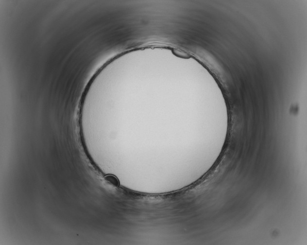 X0000100331190200807031227