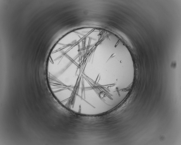 X0000100331192200807031227
