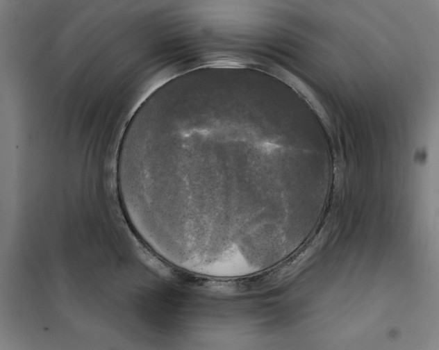 X0000100331194200807031227