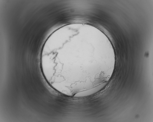 X0000100331195200807031227