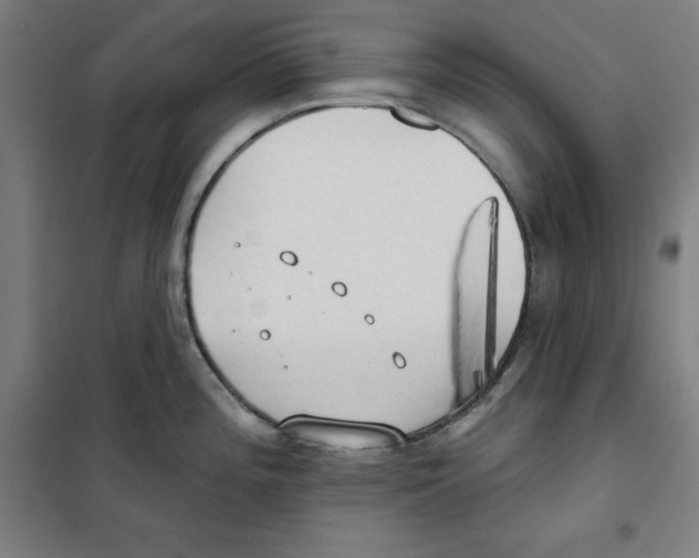 X0000100331196200807031227
