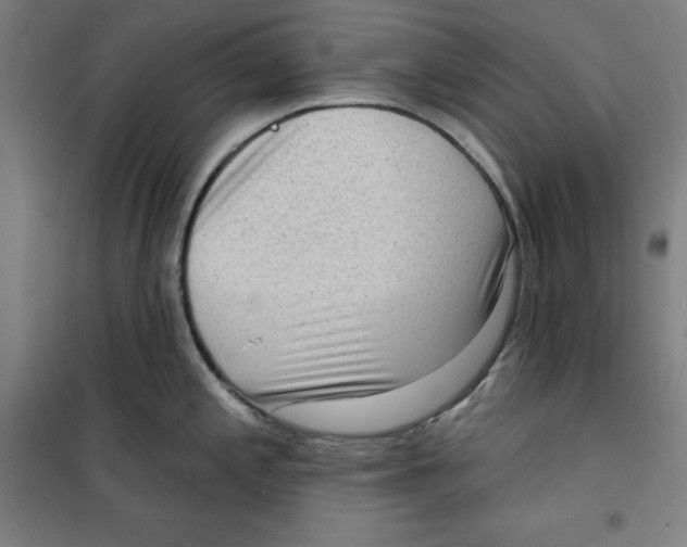 X0000100331197200807031227