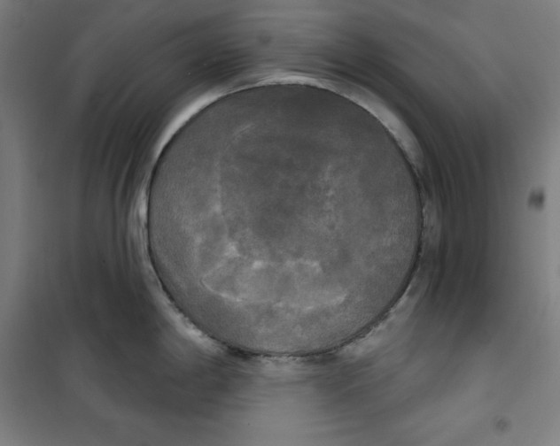 X0000100331198200807031227