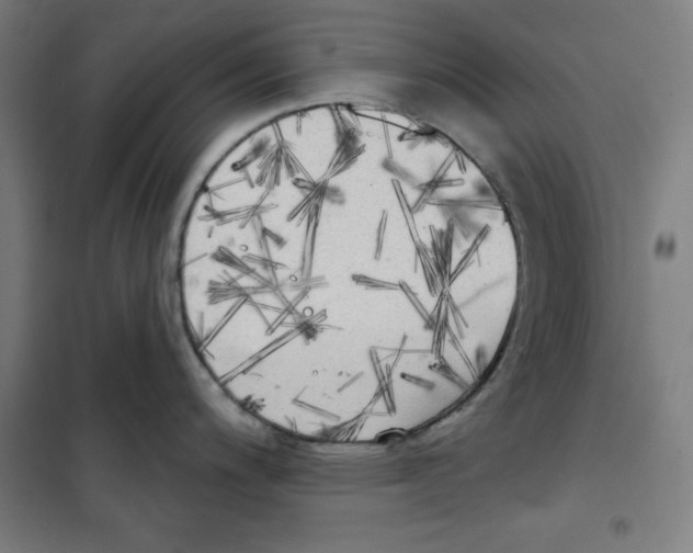 X0000100331200200807031227