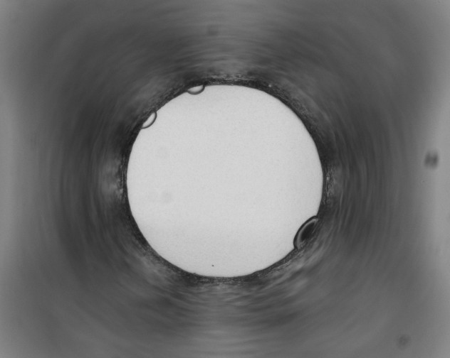 X0000100331202200807031226