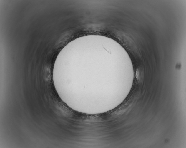 X0000100331203200807031226