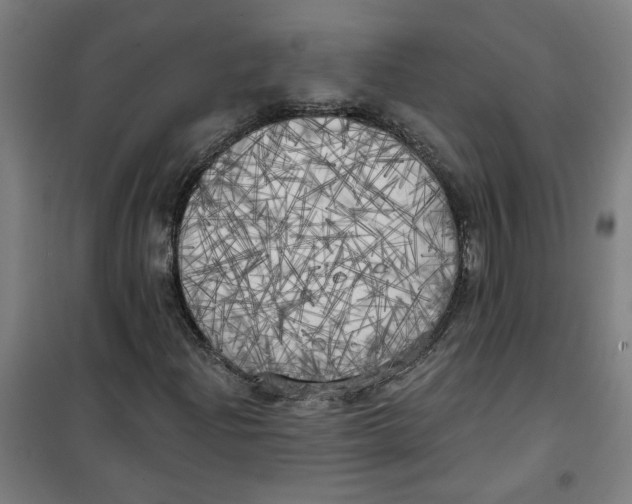 X0000100331204200807031227