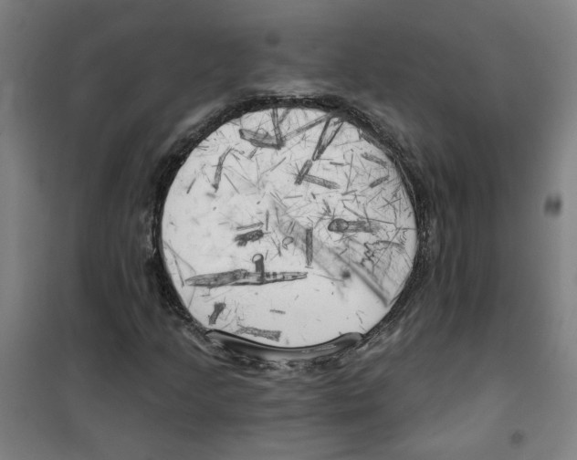 X0000100331205200807031227