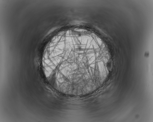 X0000100331206200807031227