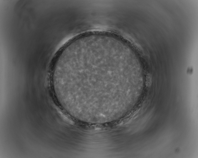 X0000100331208200807031227