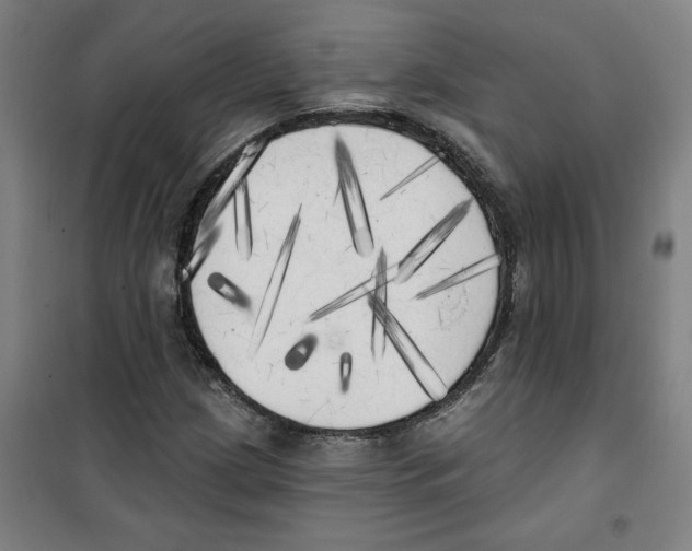 X0000100331209200807031227